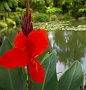 068 IMG_1440 