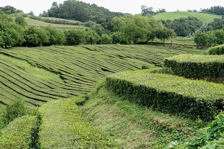 076 DSC00576 .jpg