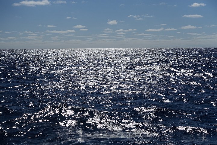 096 DSC00683 .jpg