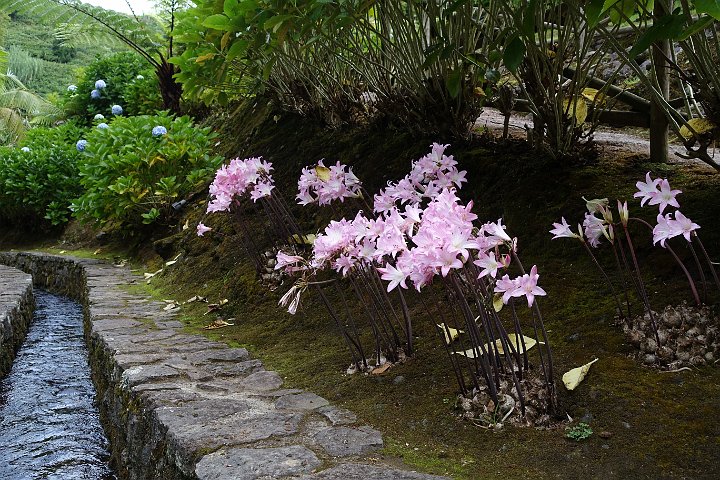 114 DSC00724 .jpg