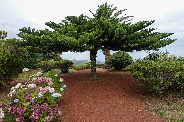 119 DSC00735 .jpg