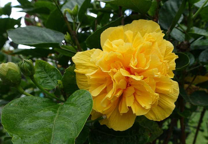 128 DSC00754 .jpg