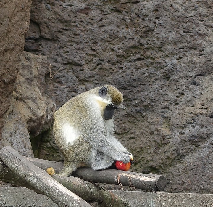 129 DSC00758 .jpg