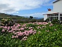 074 IMG_1453 