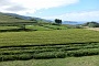 075 DSC00567 