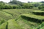 076 DSC00576 