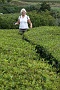 077 DSC00581 