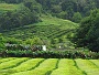 078 IMG_1457 