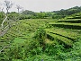 079 IMG_1460 