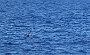 087 DSC00622 