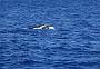 093 DSC00646 