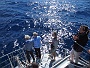 094 IMG_1490 