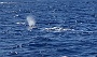 095 DSC00681 