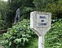 107 DSC00707 