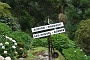 109 DSC00715 