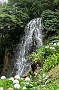 110 DSC00716 
