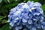111 DSC00721 