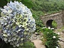 112 IMG_1541 