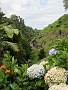 116 IMG_1544 