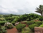 120 IMG_1546 