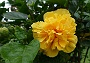 128 DSC00754 