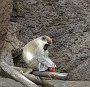129 DSC00758 