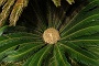 137 DSC00789 