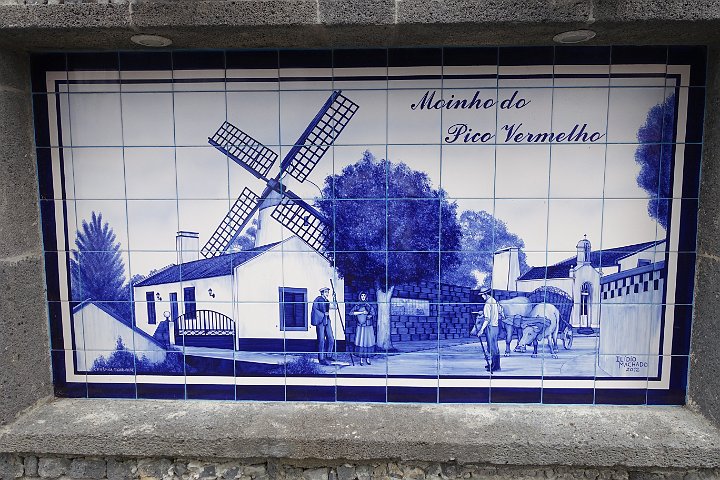 155 DSC00824 .jpg