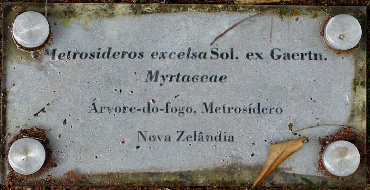 193 DSC00951 .jpg