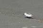142 IMG_1577 