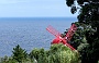 154 DSC00814 