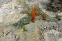 172 DSC00904 