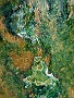 176 IMG_1640 
