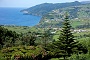 177 DSC00917 