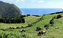 178 DSC00923 