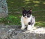 179 IMG_1645 