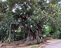 184 IMG_1650 