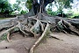 187 DSC00941 