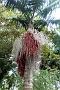 189 DSC00943 