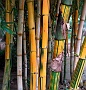 191 IMG_1659 