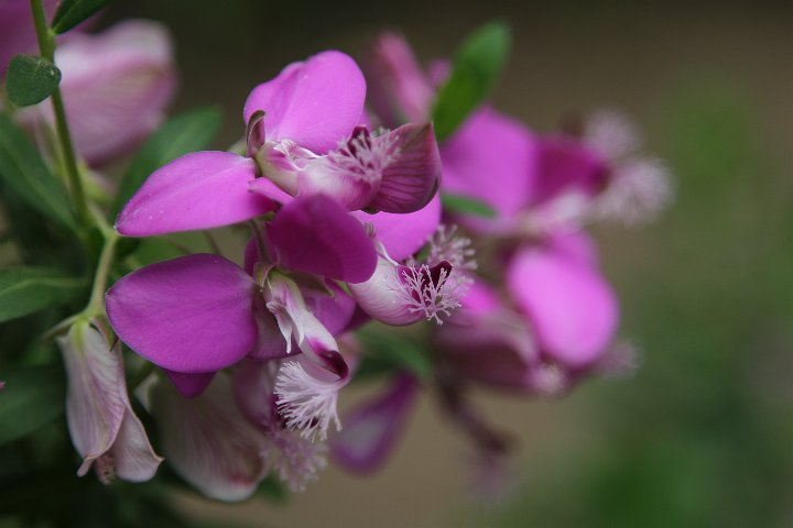 0101 IMG_2738 .jpg