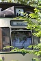 0005 IMG_2466 