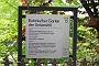 0090 IMG_2711 