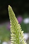 0092 IMG_2715 