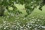 0094 IMG_2718 