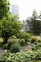0095 IMG_2721 