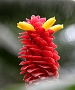 0100 IMG_2736 
