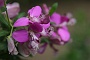0101 IMG_2738 