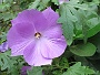 0102 IMG_0388 