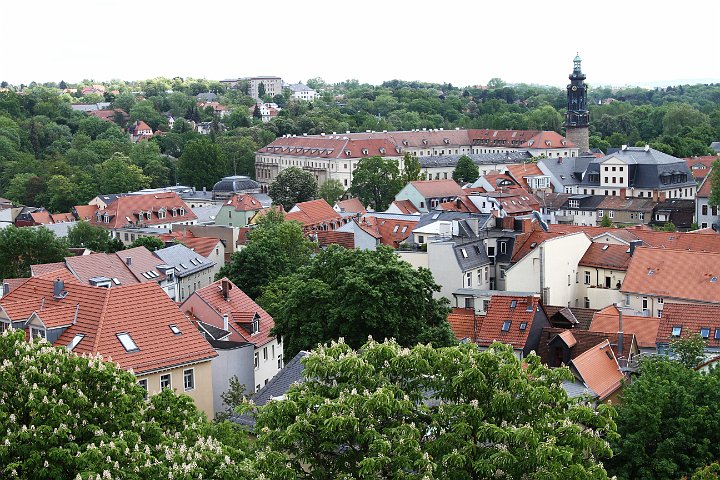 0063 IMG_2562 .jpg